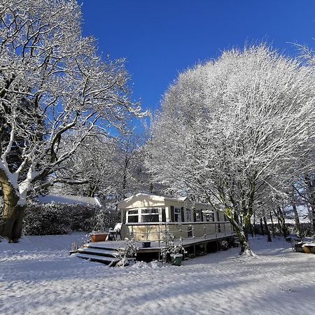 Doughery Den The Dark Hedges Hideaway Armoy المظهر الخارجي الصورة