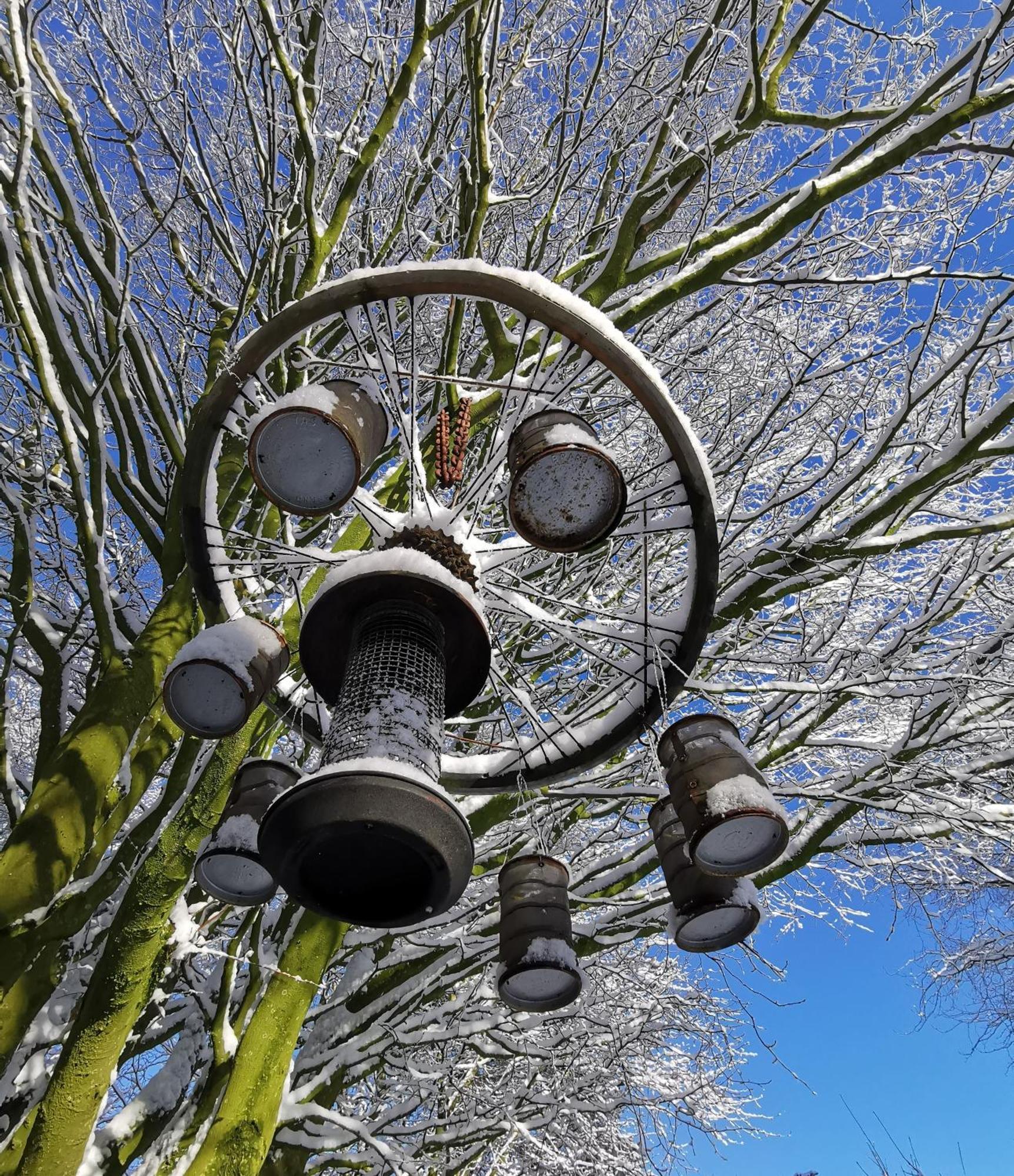 Doughery Den The Dark Hedges Hideaway Armoy المظهر الخارجي الصورة